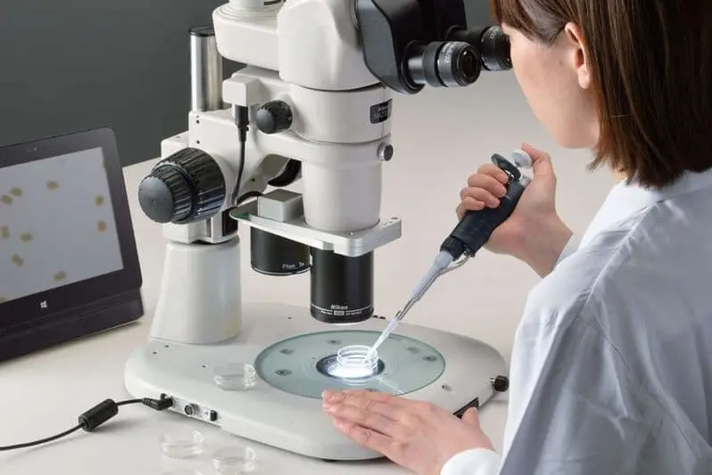 binokuliarnyi mikroskop